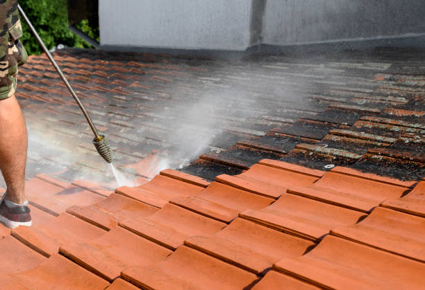 Best Sidewalk Pressure Washing  in Hugo, MN