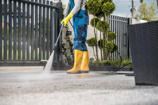 Best Local Pressure Washing Services  in Hugo, MN